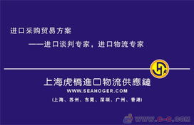 專業(yè)護(hù)航，高效通關(guān) 上海進(jìn)口報(bào)關(guān)代理服務(wù)全解析